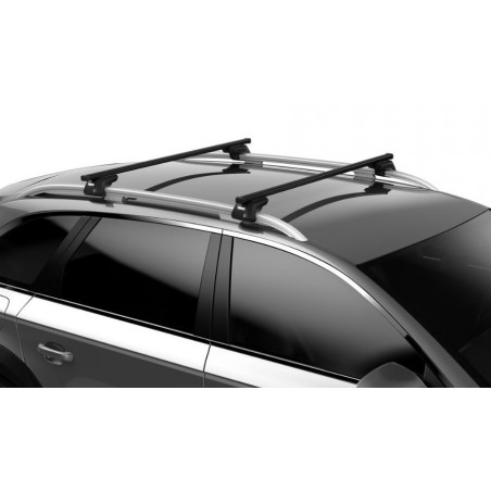 Barras Thule TOYOTA RAV 4 04-05 RE / SmartRack XT SquareBar