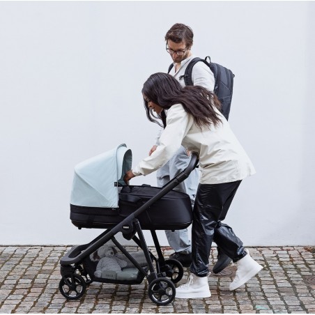 Moises Thule Shine Bassinet...