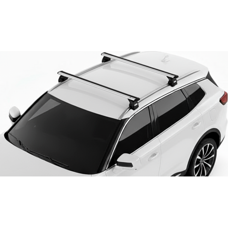 Barras Thule JAECOO 7 23-...