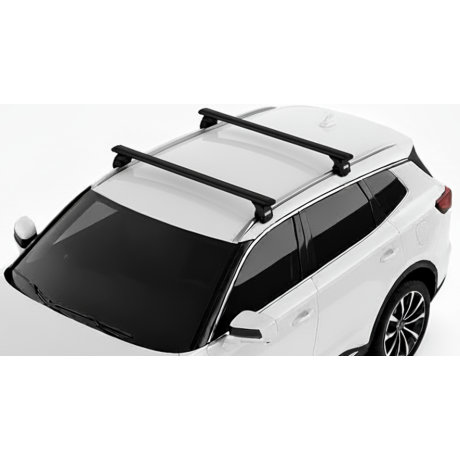 Barras Thule JAECOO J7 23-...