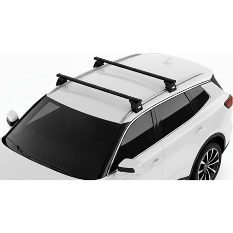 Barras Thule JAECOO J7 23-...