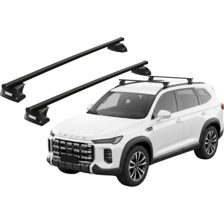 Barras Thule MAXUS D90 24-...