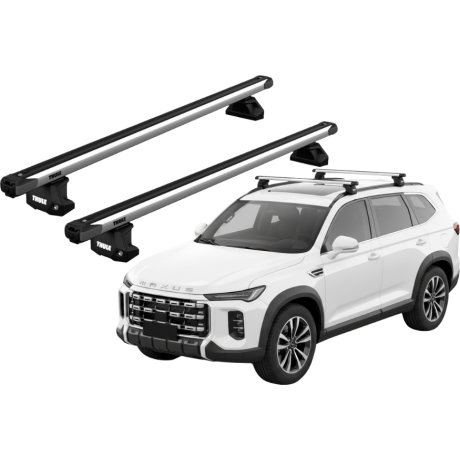 Barras Thule MAXUS D90 24-...