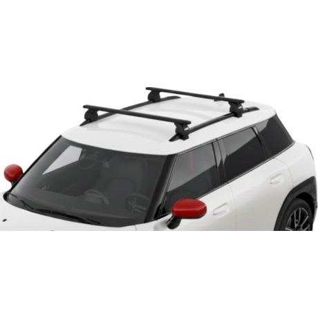 Barras Thule MINI Aceman...