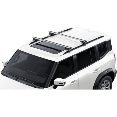 Barras Thule JETOUR T2 22-...