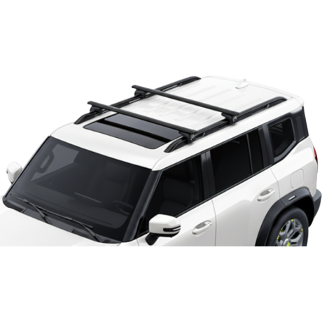 Barras Thule JETOUR T2 22-...