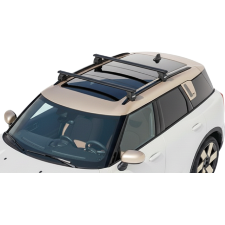 Barras Thule MINI...
