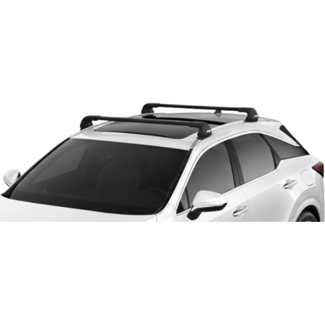 Barras Thule LEXUS RX 23-...