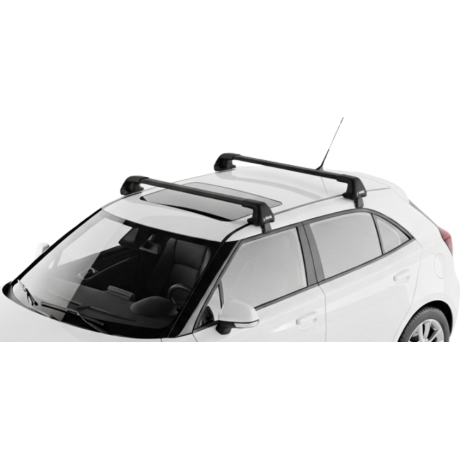 Barras Thule MG 3 12-24 TN...