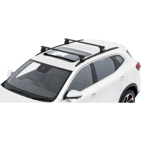 Barras Thule MG HS 18-24 RA...