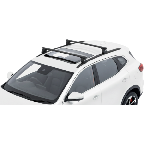 Barras Thule MG HS 18-24 RA...