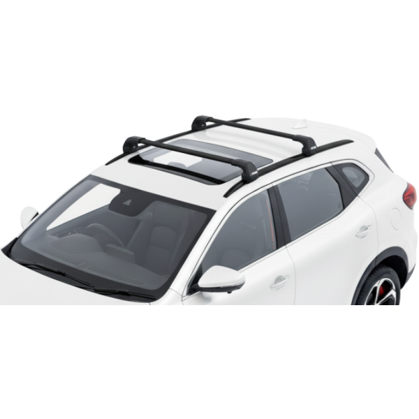Barras Thule MG HS 18-24 RA...