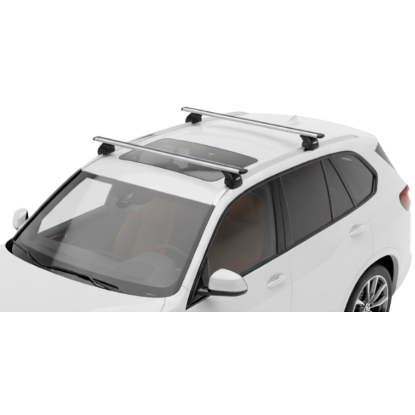 Barras Thule BMW X5 19- RA...