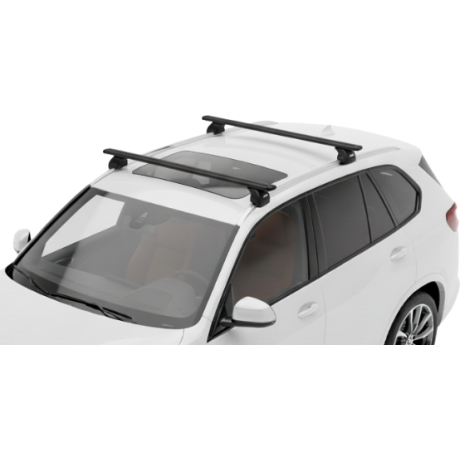 Barras Thule BMW X5 19- RA...