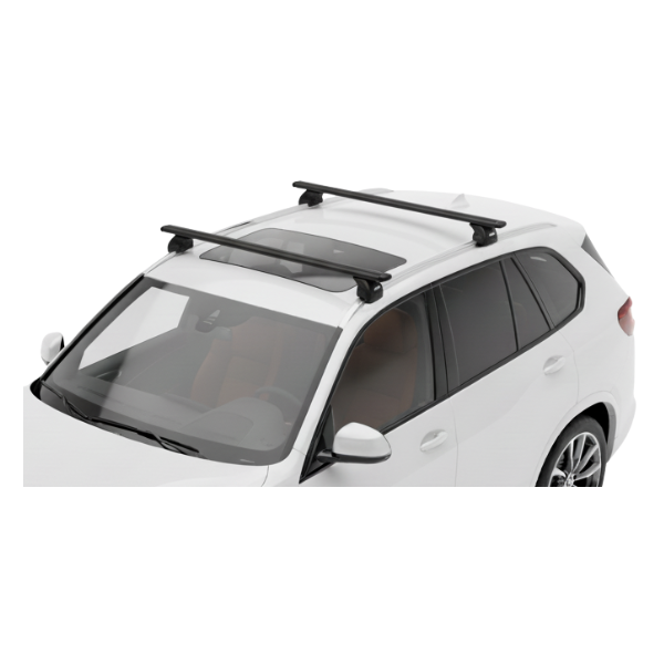 Barras Thule BMW X5 19- RA...