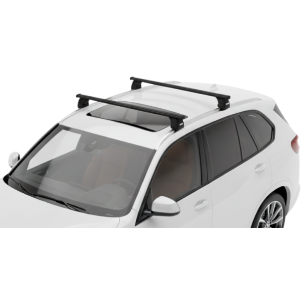 Barras Thule BMW X5 19- RA...