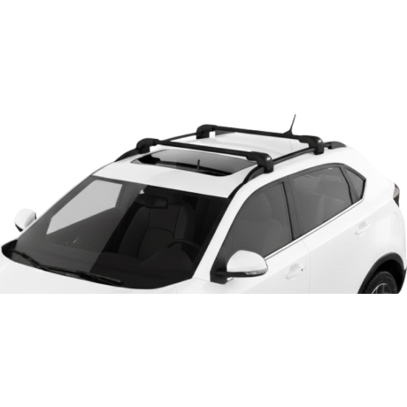 Barras Thule MG GS 15-19 RE...