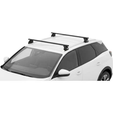 Barras Thule PEUGEOT 3008...