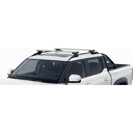 Barras Thule BYD Shark 24-...