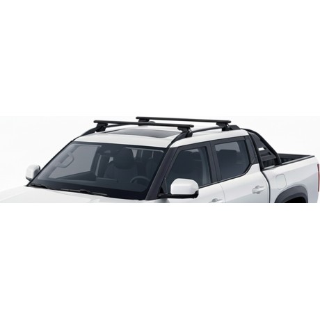Barras Thule BYD Shark 24-...