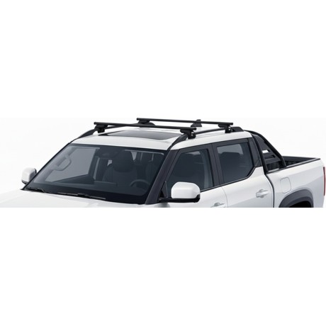 Barras Thule BYD Shark 24-...