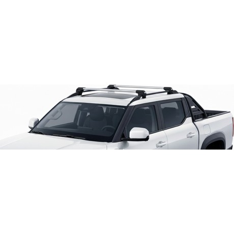 Barras Thule BYD Shark 24-...