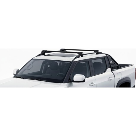 Barras Thule BYD Shark 24-...
