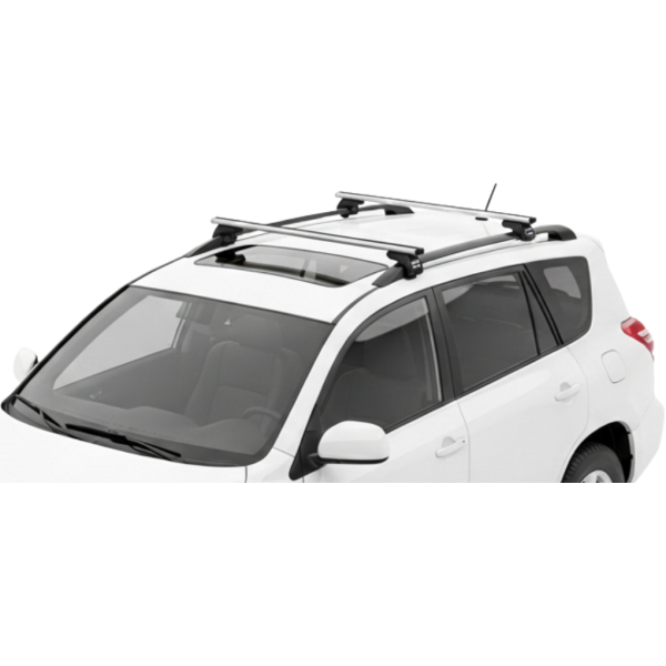 Barras Thule TOYOTA RAV 4...