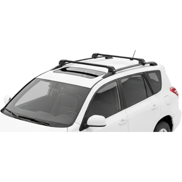 Barras Thule TOYOTA RAV 4...