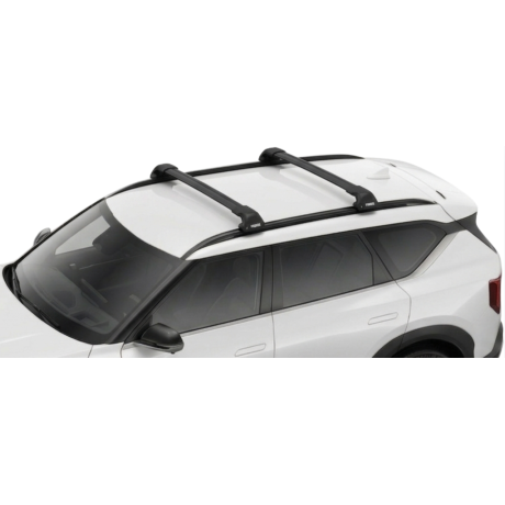 Barras Thule KIA EV5 24- RA...