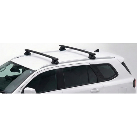 Barras Thule FORD Everest...