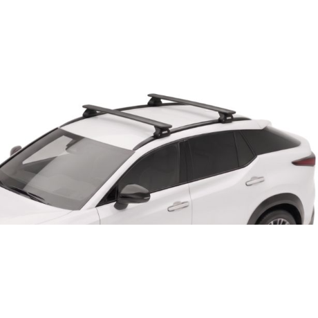 Barras Thule LEXUS...