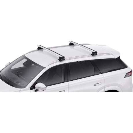 Barras Thule JAECOO 8 24-...