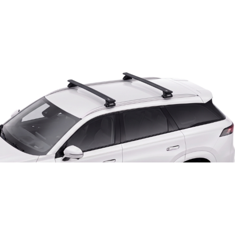 Barras Thule JAECOO 8 24-...