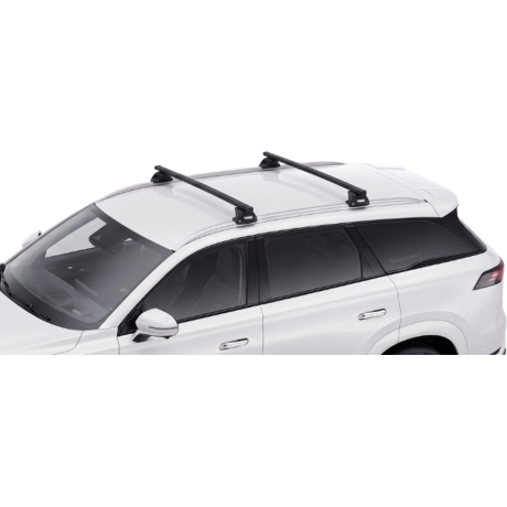 Barras Thule JAECOO 8 24-...