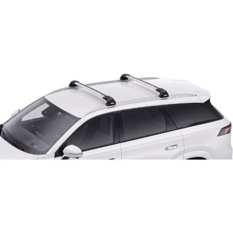 Barras Thule JAECOO 8 24-...