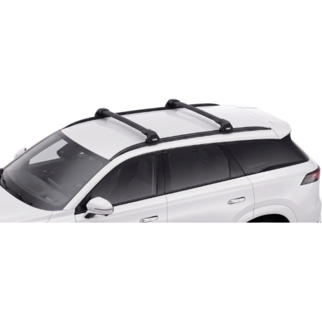 Barras Thule JAECOO 8 24-...
